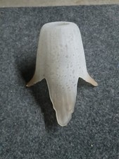 VETRO COPPA RICAMBIO