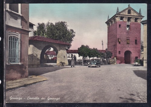 Cartolina gonzaga castello dei - gonzaga,