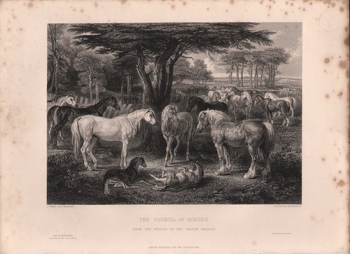 1853 stampa vittoriana - vittoriana, ~