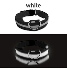 Collare Luminoso a LED per