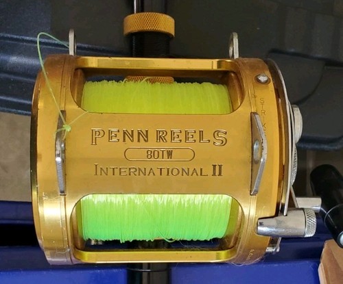 Penn international 80tw - ii, big