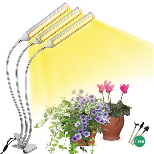 Luce coltivazione per - di,
