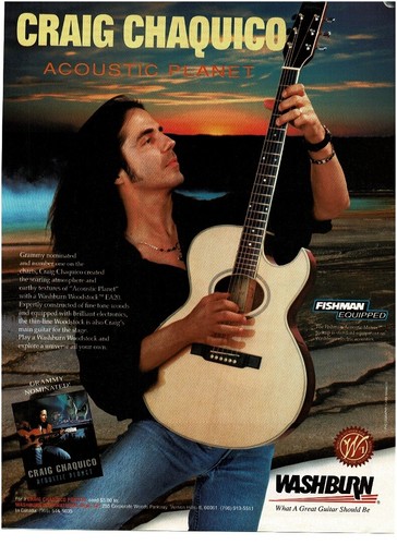 Chitarra acustica washburn - chitarra,