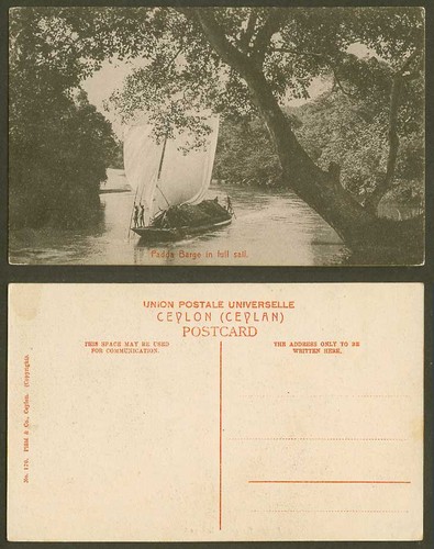Ceylon old postcard padda - old,