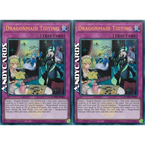 Dragonmaid tidying - dragonmaid, 2x
