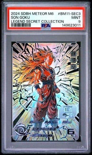 Psa 2024 dragon ball - 2024,