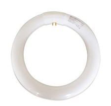 Lampadina lampada Synergetic