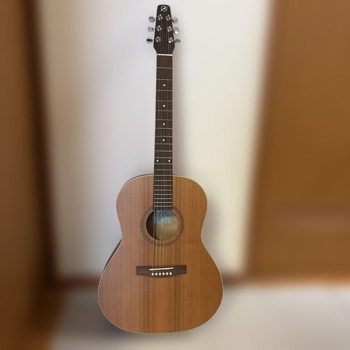 Chitarra acustica folk - , seagull