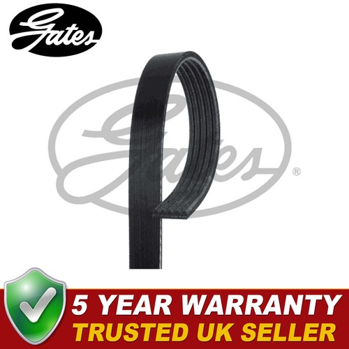 Cinghie gates adatte - v,