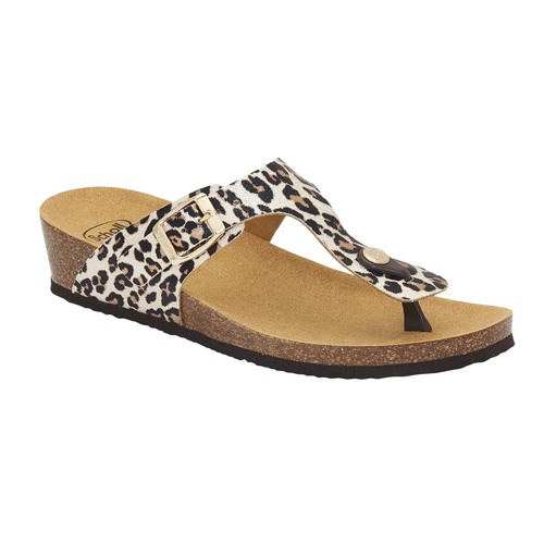 Scholl gandia bioprint - dr,