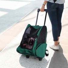 x Trasportino Cani Gatti Verde