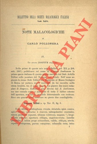 Malacologia continentale - ,