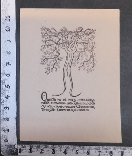 Wunderkammer exlibris 389 - wunderkammer,