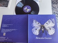 FRANCESCO GUCCINI - PARNASSIUS