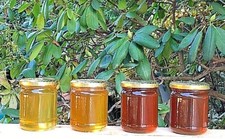 Miele italiano del piemonte -