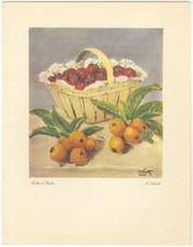 Menu- Italia Navigazione  Mn