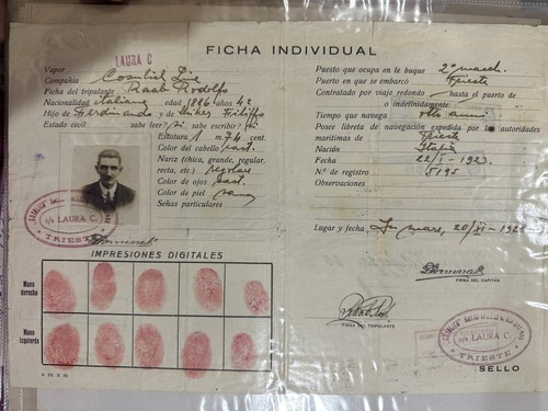 Documento tessera nave - documento,