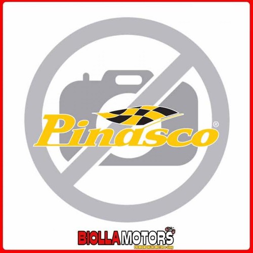 10260219 variatore pinasco - 10260219,
