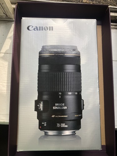 Canon 300 4 5 - 70-300, f/4-5.6