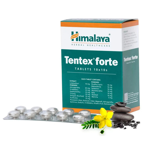 10x10 himalaya tentex forte - 10x10,