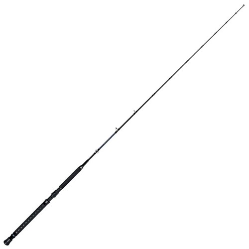 Canna tubertini montecristo - canna,