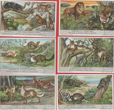 FIGURINE LIEBIG SERIE COMPLETA