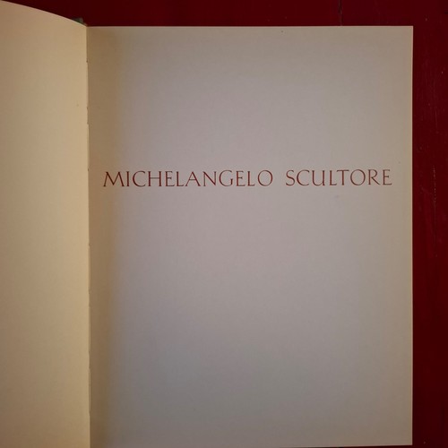 Michelangelo scultore vv - scultore,