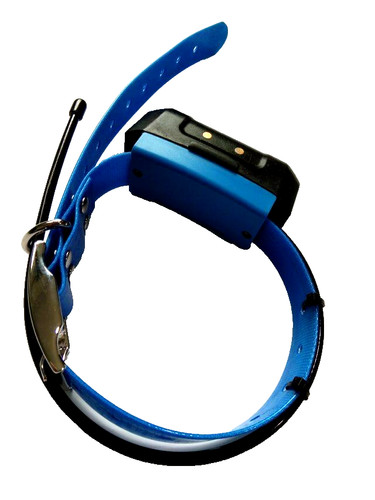 Collare tracciamento cani gps - collare,