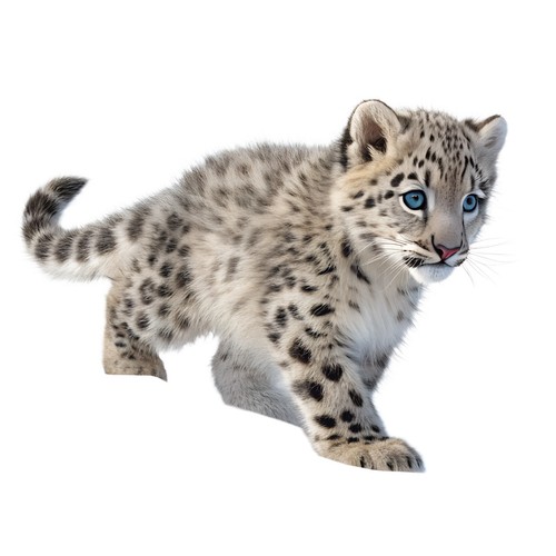 Adesivi leopardo delle nevi - leopardo,