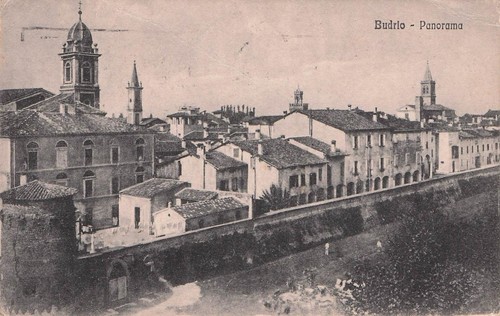 2401 cartolina budrio - 2401),