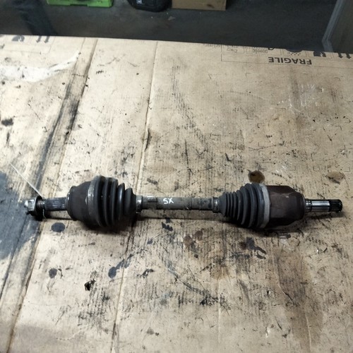 51975576 semialbero ant - semialbero,