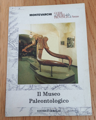 Museo paleontologico - museo, |