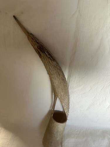 Scultura corno intagliato - corno,