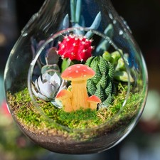  6 Pcs Fungo Decorativo