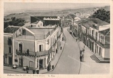 ed419 cartolina zafferano