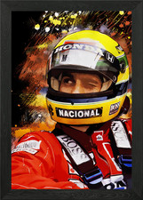Damon Hill Framed Wall Art