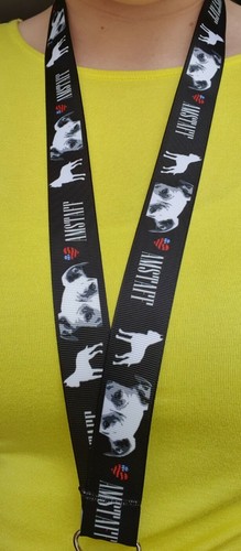 Amstaff cordino nastro largo - a,