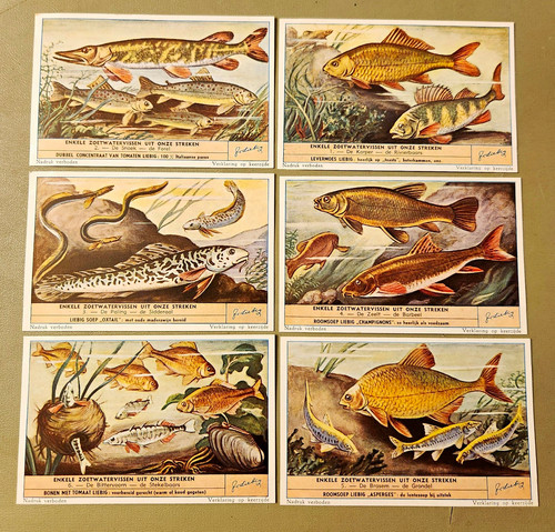 1910 liebig dutch fish trading - liebig,