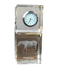 Americani Quarter Horse -