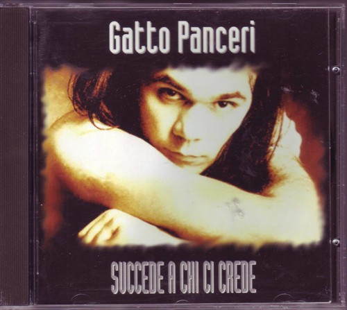 Gatto panceri succede chi - gatto,