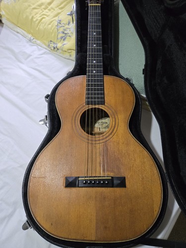 Oscar schmidt parlour string - oscar,