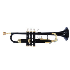 Tromba ottone Bb laccato nero + finitura ottone di Zaima con boccaglio +...