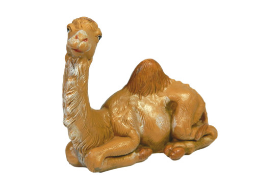 Animali dromedario seduto - dromedario,