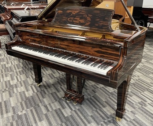 Pianoforte coda steinway b - steinway,