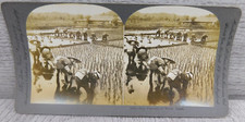 Carte fotografiche vintage