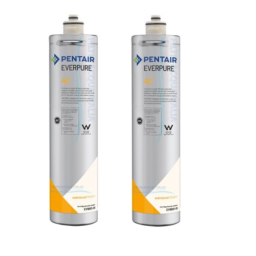 Filtro everpure ev9601 - everpure, 4c
