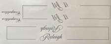 Raleigh Competition set