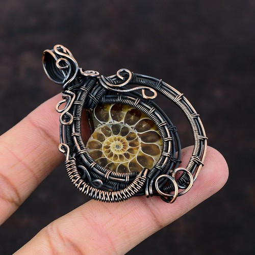 Offerta san valentino ammonite - offerta,