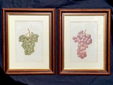 Coppia di Cromolitografie -