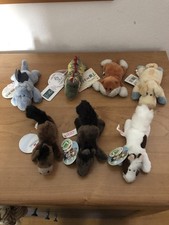 Nici Magnicis 15 Pezzi